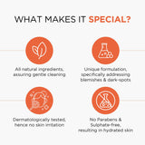 Papaya Clean Anti Blemish Facewash