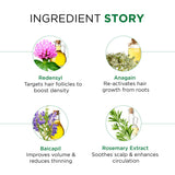 Hair Growth Serum - 3% Redensyl + 2% Baicapil + 1% Rootbiotec + Biotin + Hydrolyzed Rice Protein Infused with Rosemary