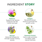 Anti - Hairfall Shampoo - Redensyl + Anagain + Baicapil + Rootbiotec HO, Biotin Infused with Rosemary Extract