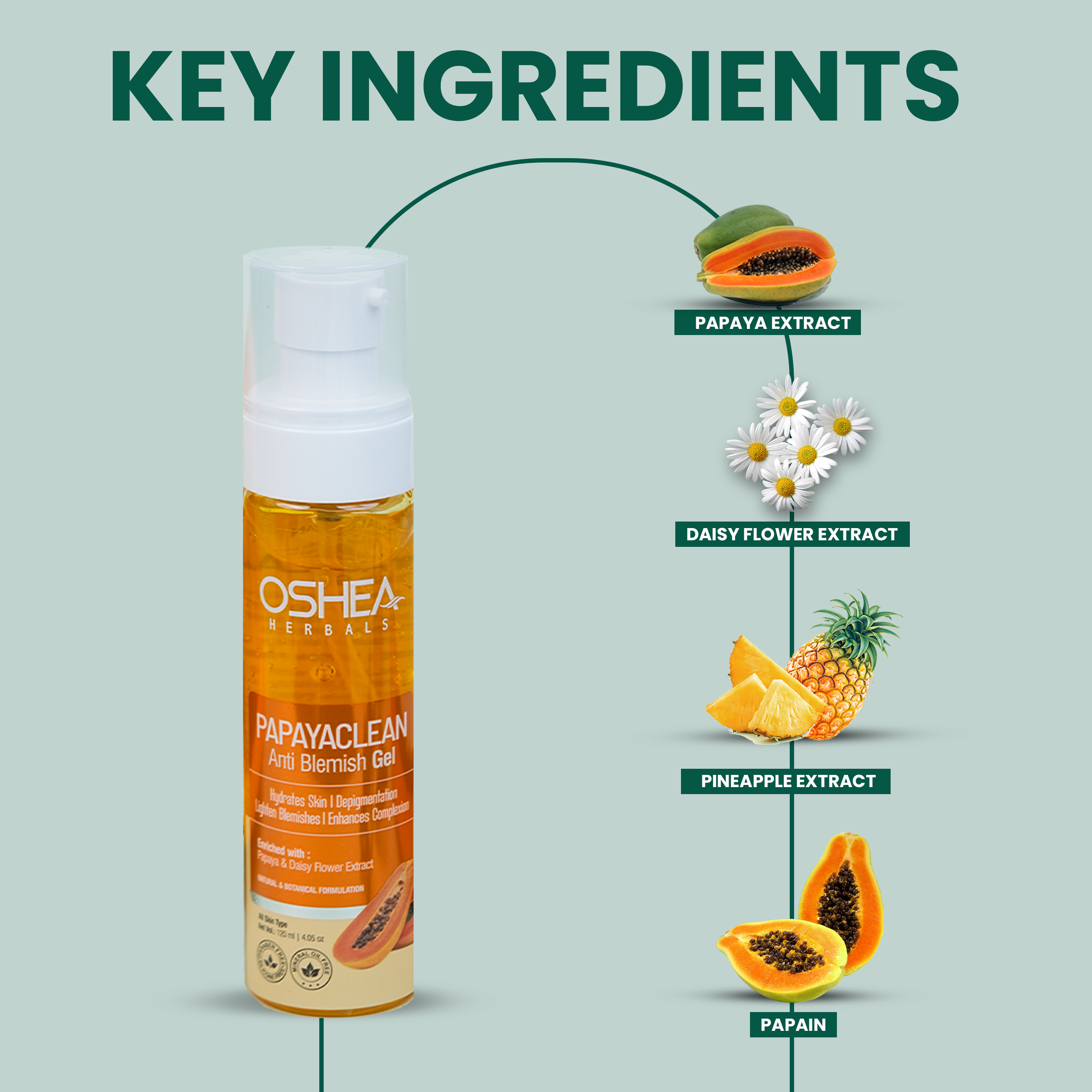 key ingredients Papayaclean Anti Blemish Gel Oshea Herbals