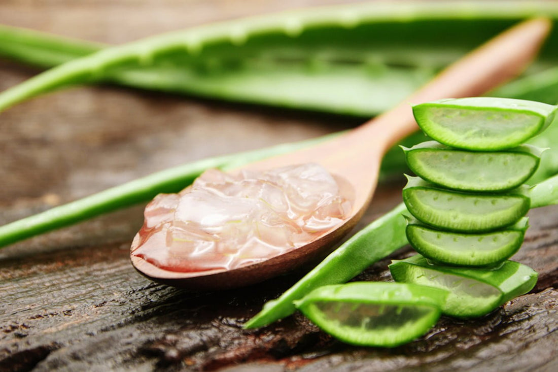 5 Awesome benefits of Aloe Vera for skin that you should know about today