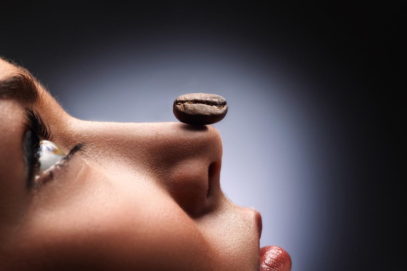 Close-up of coffee bean balanced on a person's nose, skincare and beauty concept