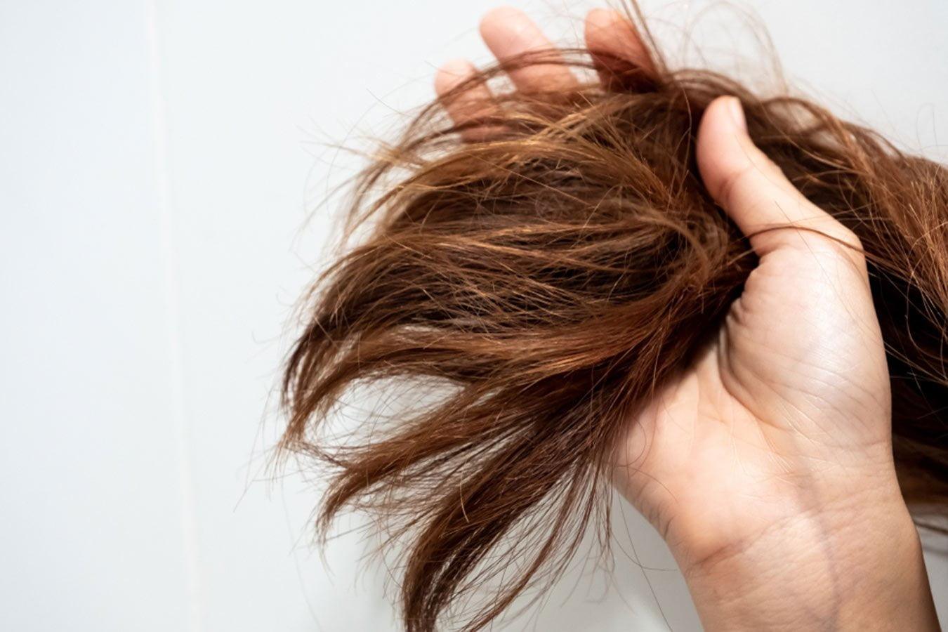Hand holding dry, frizzy brown hair showing hair damage and split ends