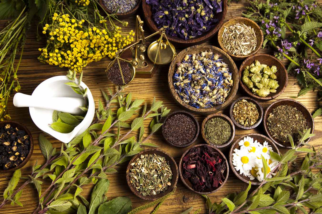 Herbs To Impart Youthful Skin This Winter