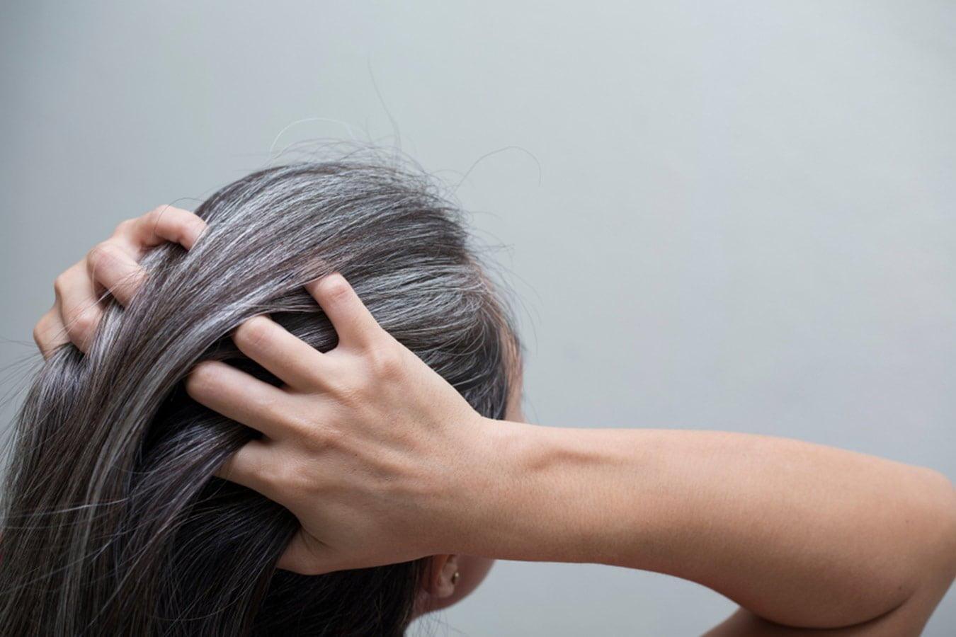 5 Tricks To Avoid Premature Greying Of Hair – Oshea Herbals