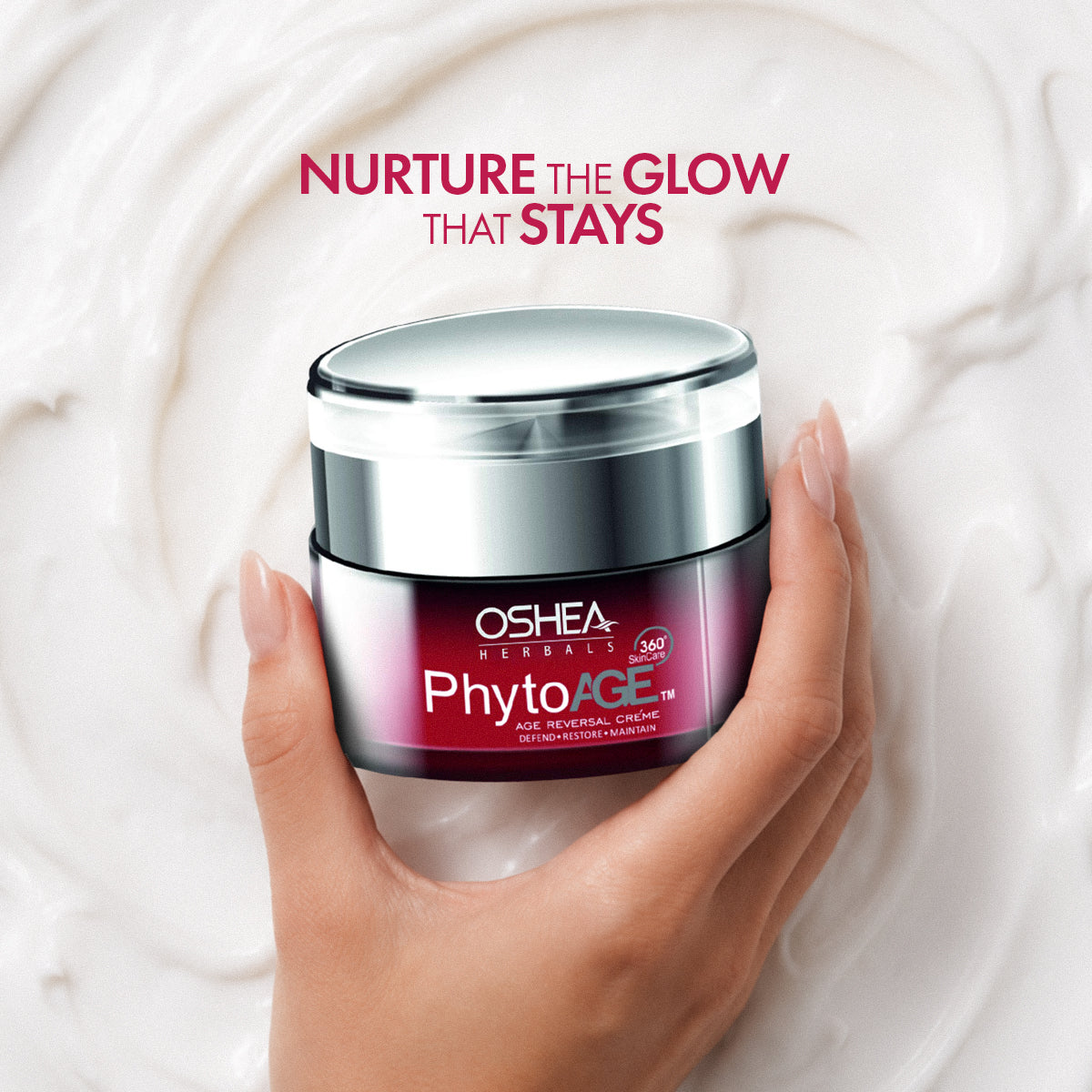 Phytoage Age Reversal Cream – Reduces Wrinkles, Firms & Restores Youthful Glow