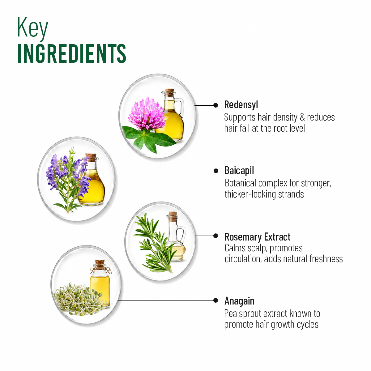Anti Hair Fall Shampoo with Redensyl and Rosemary