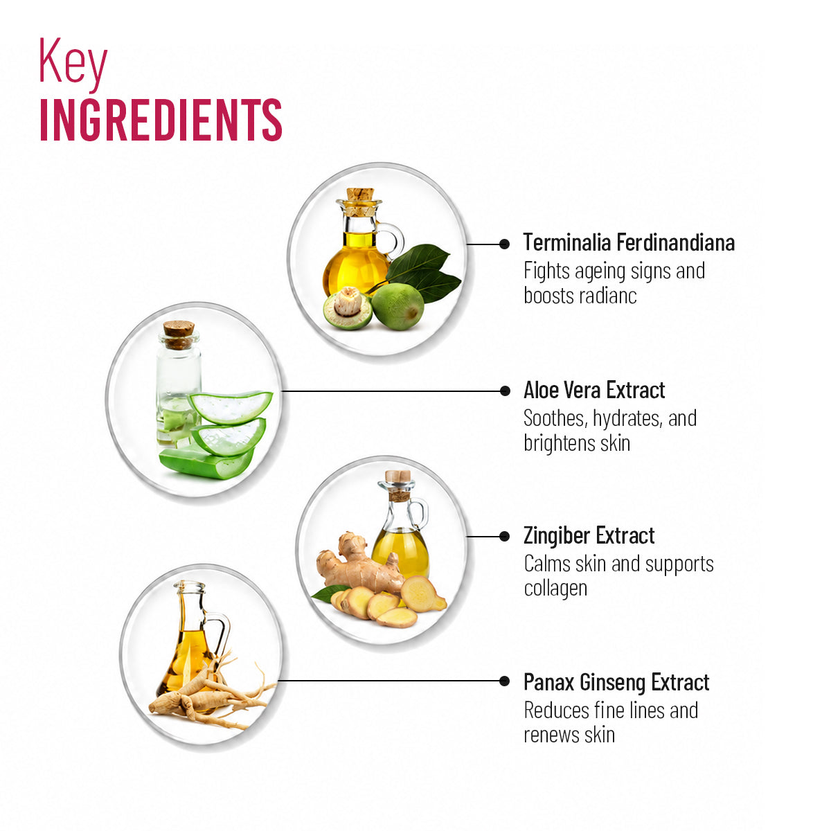 PhytoAge Age Reversal AntiAgeing Serum