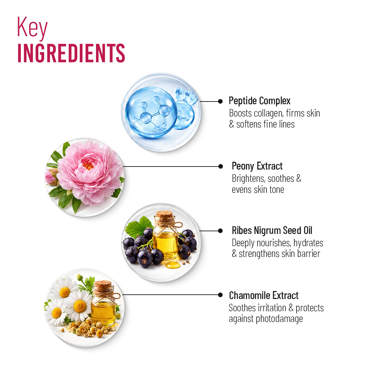 Phytoage Age Reversal Cream – Reduces Wrinkles, Firms & Restores Youthful Glow