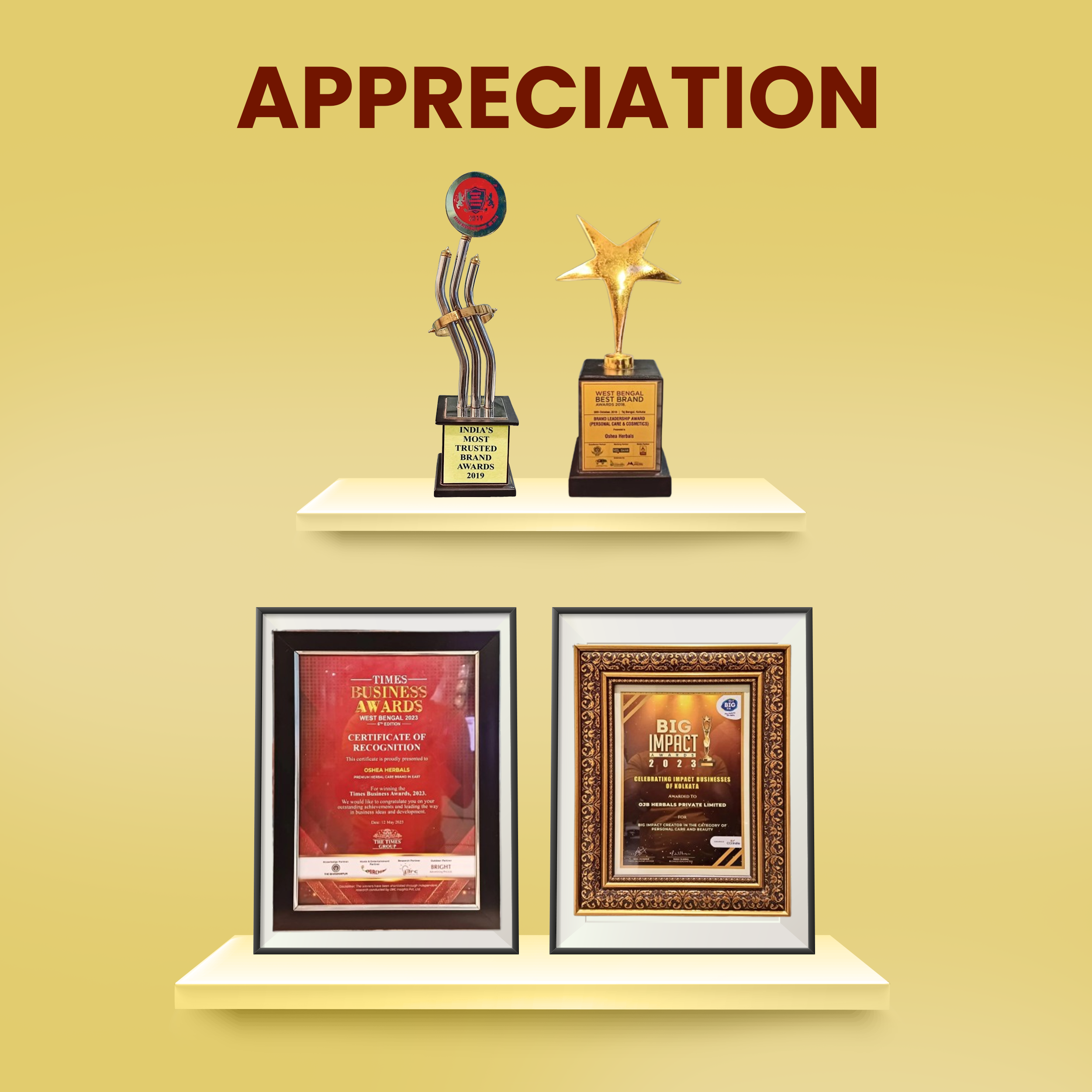  Awards Papaya clean Anti Blemish Face wash Papaya Clean 11 In One Gel Cream With SPF-25PA Combo Oshea Herbals