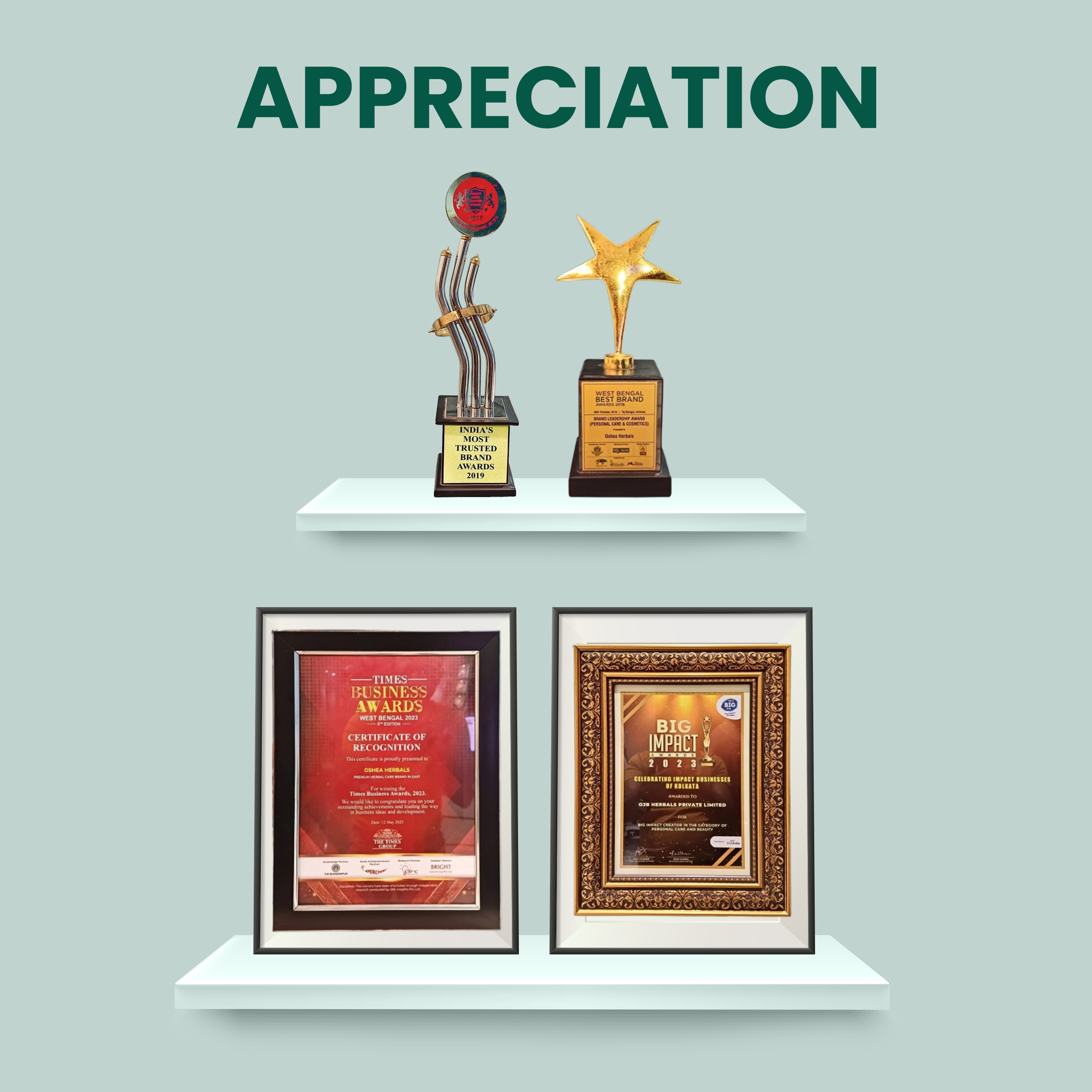 Awards and certificates for herbal skincare achievements displayed on shelves, appreciation theme
