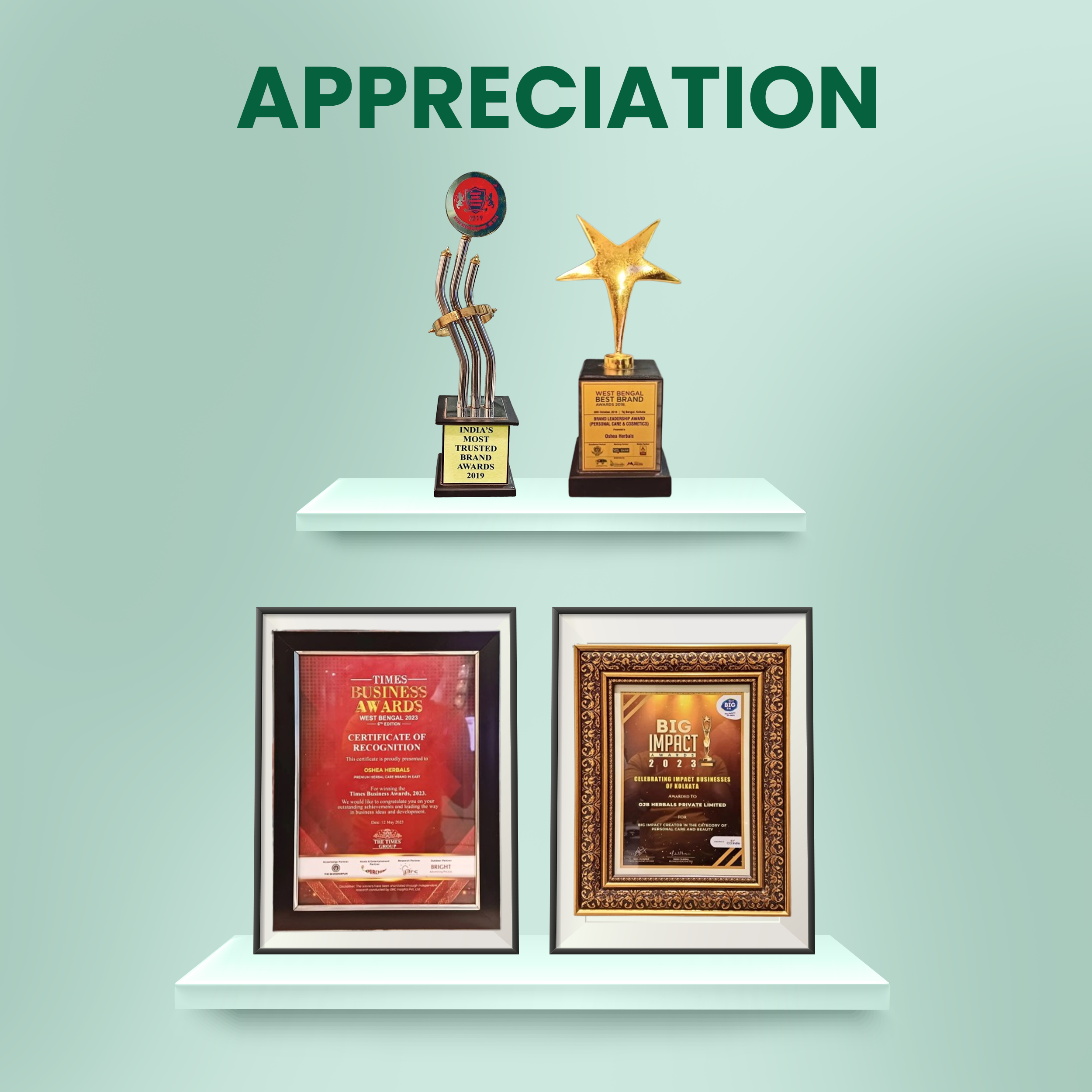 PhytoGain Hairfall Control Serum