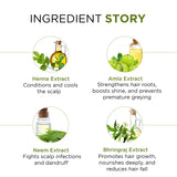Natural Henna Hair Pack