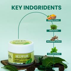 Key Indgridents Neempure Anti Acne Pimple Cream Oshea Herbals