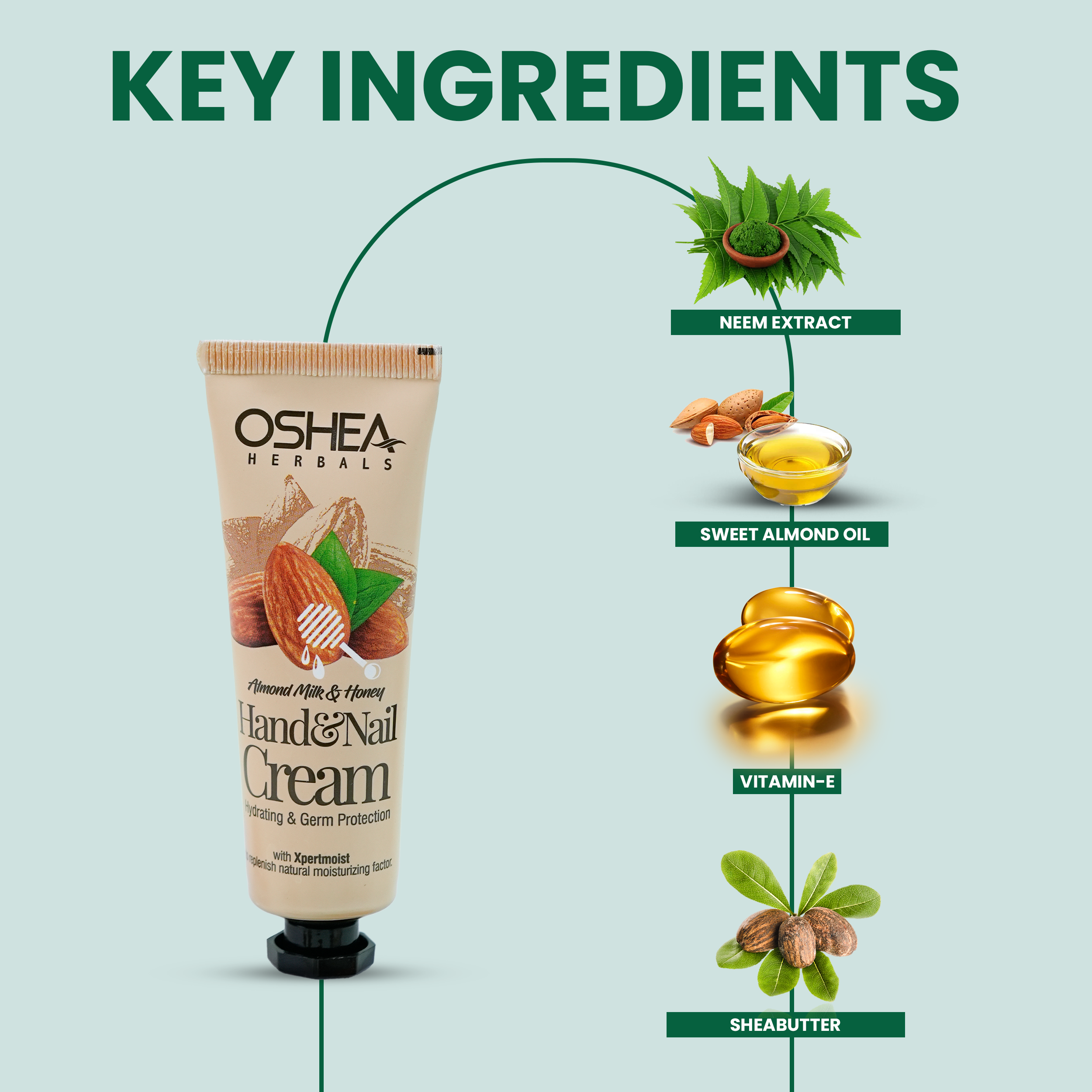 Key Ingredients Almond Milk_Honey Hand Cream_Nai lCream Oshea Herbals