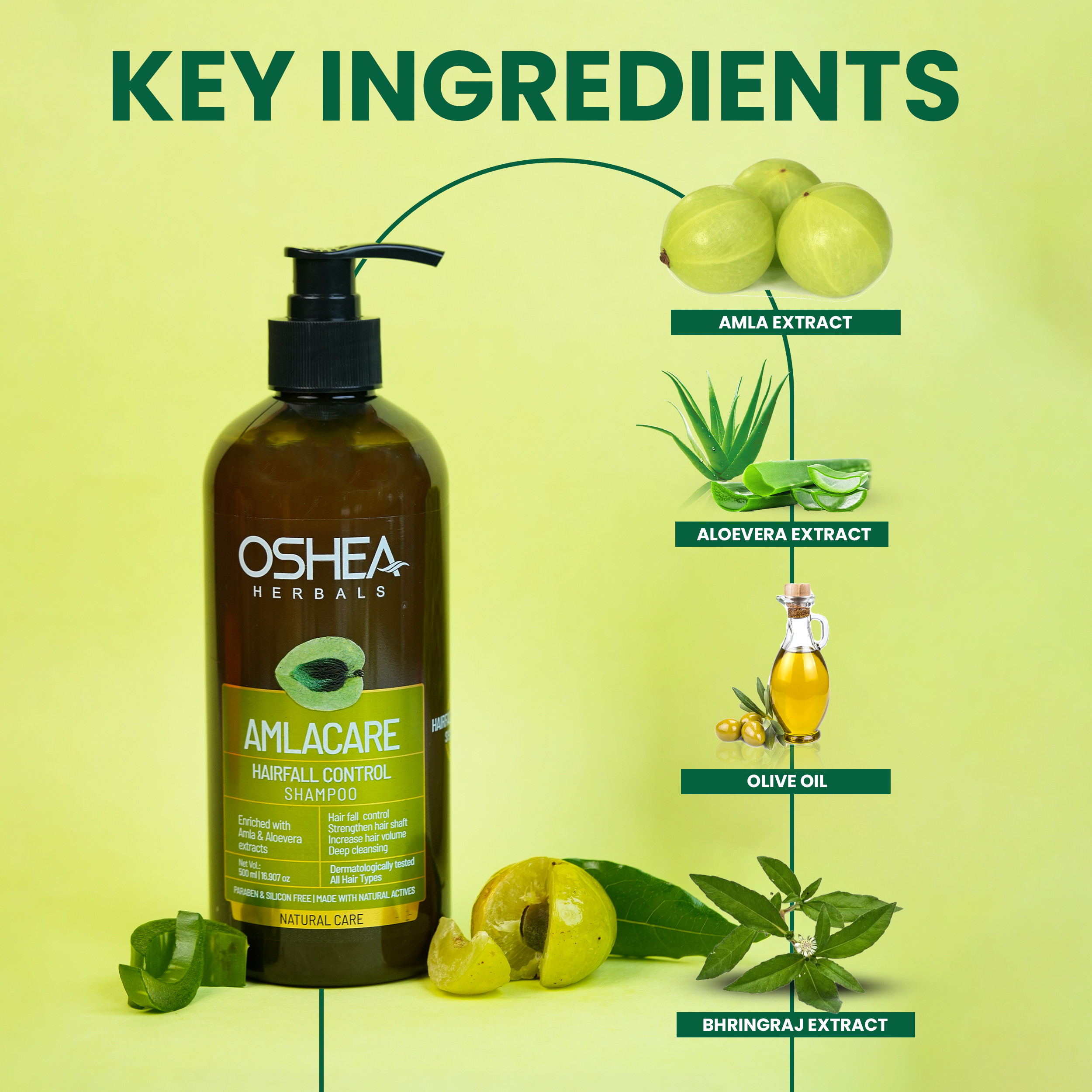 Key Ingredients AmlaCare Hairfall control Shampoo Oshea Herbals