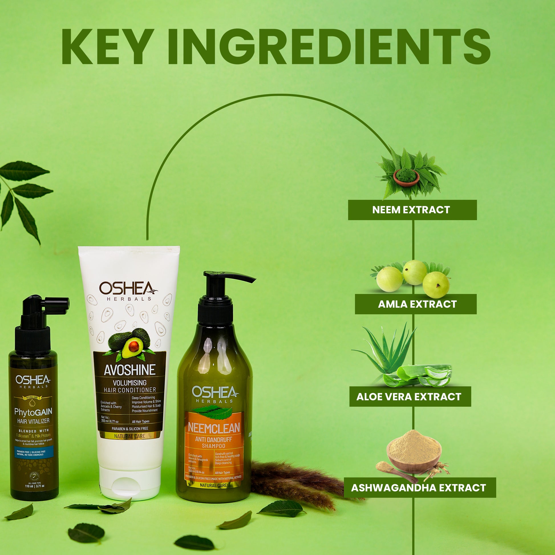 Anti Dandruff combo - Oshea Herbals