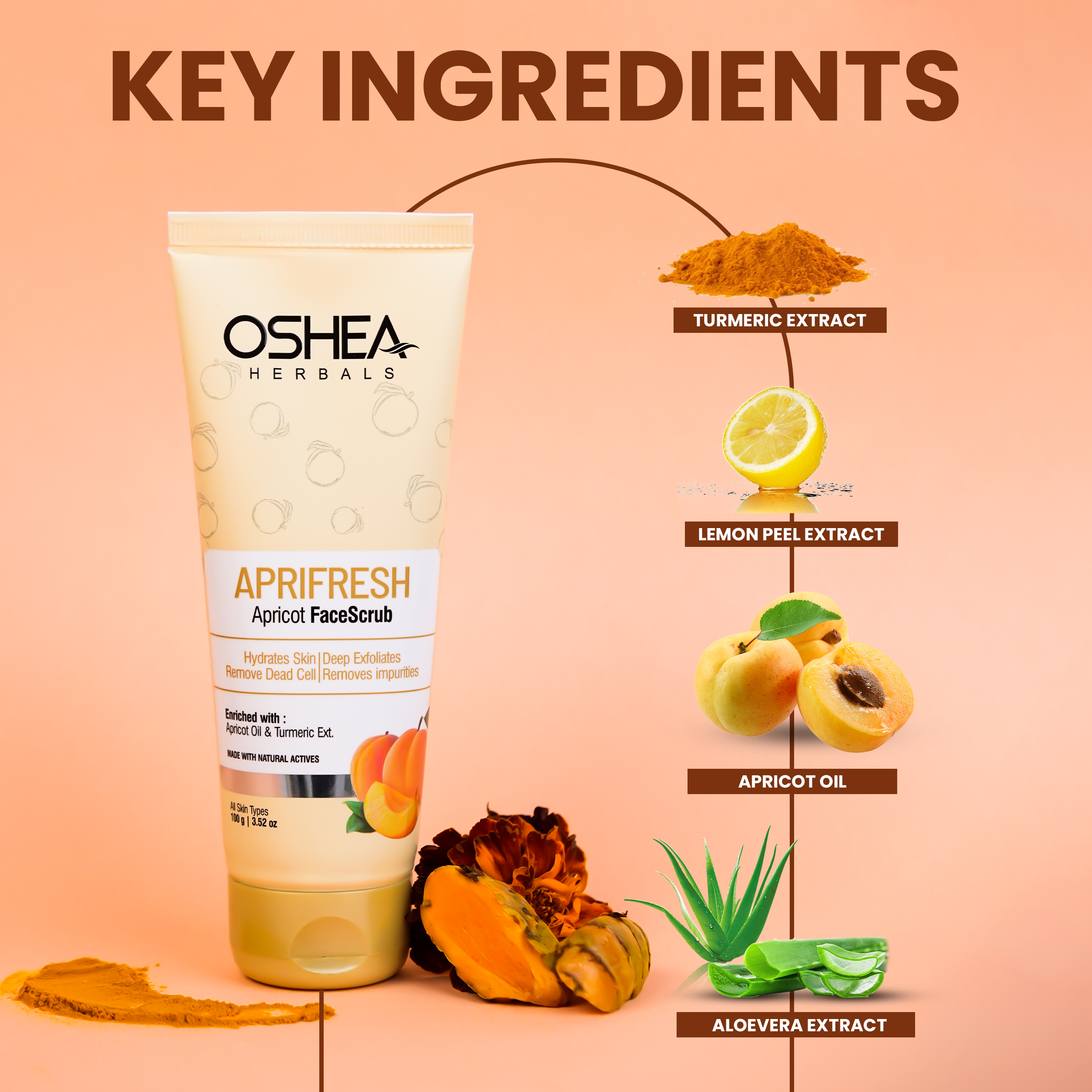 Key Ingredients Aprifresh Apricot Face Scrub Oshea Herbals