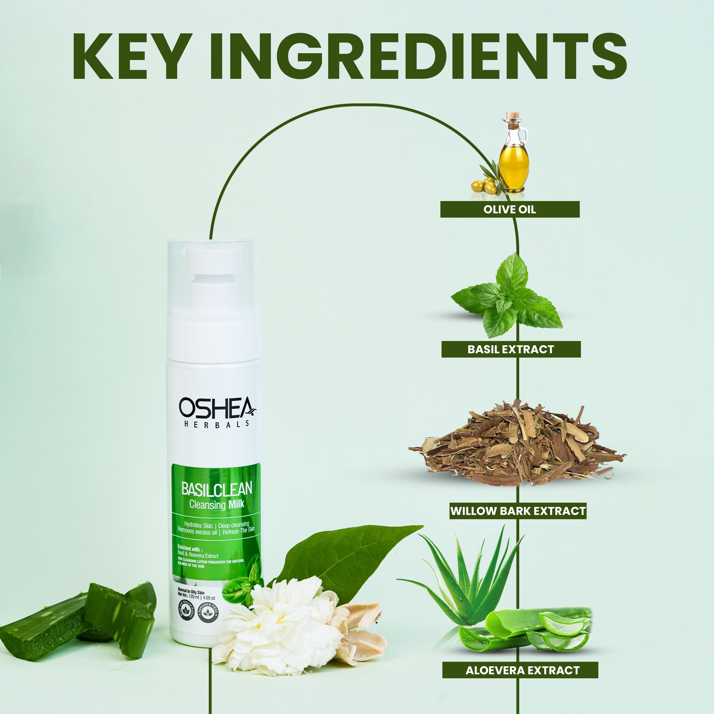  Key Ingredients Basil clean Cleansing Milk Oshea Herbals