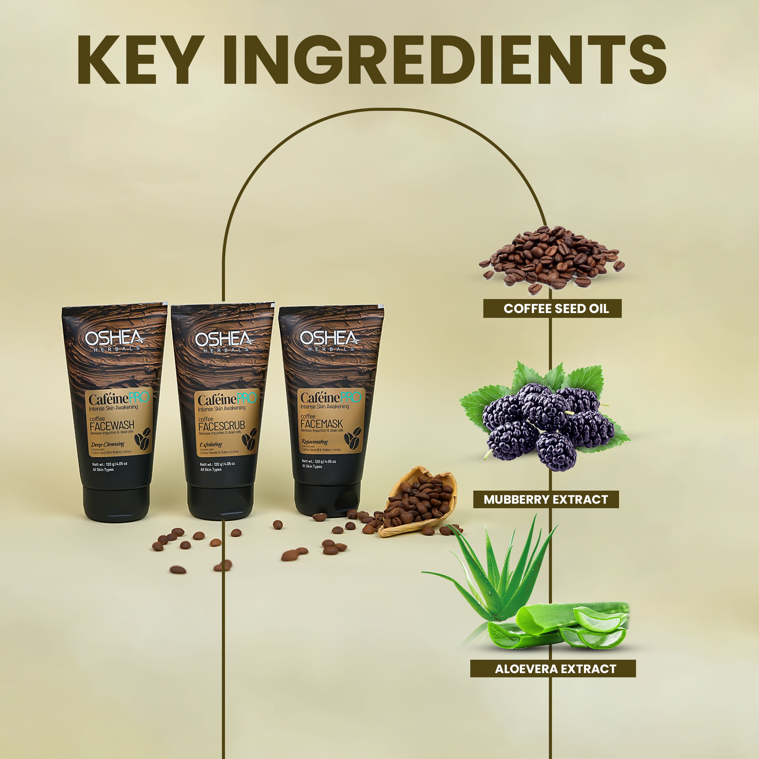 KeyIngredients Cafeine Pro Combo Oshea Herbals