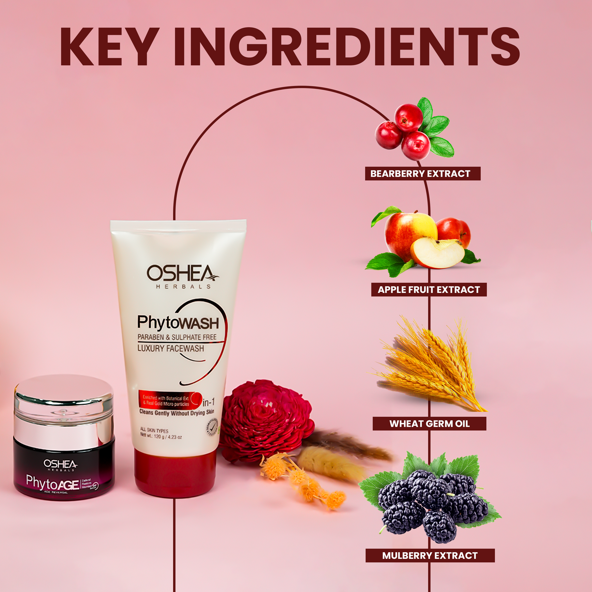Key Ingredients Phytoage Age Reversal Cream Phytowash Luxury Face wash Combo Oshea Herbals