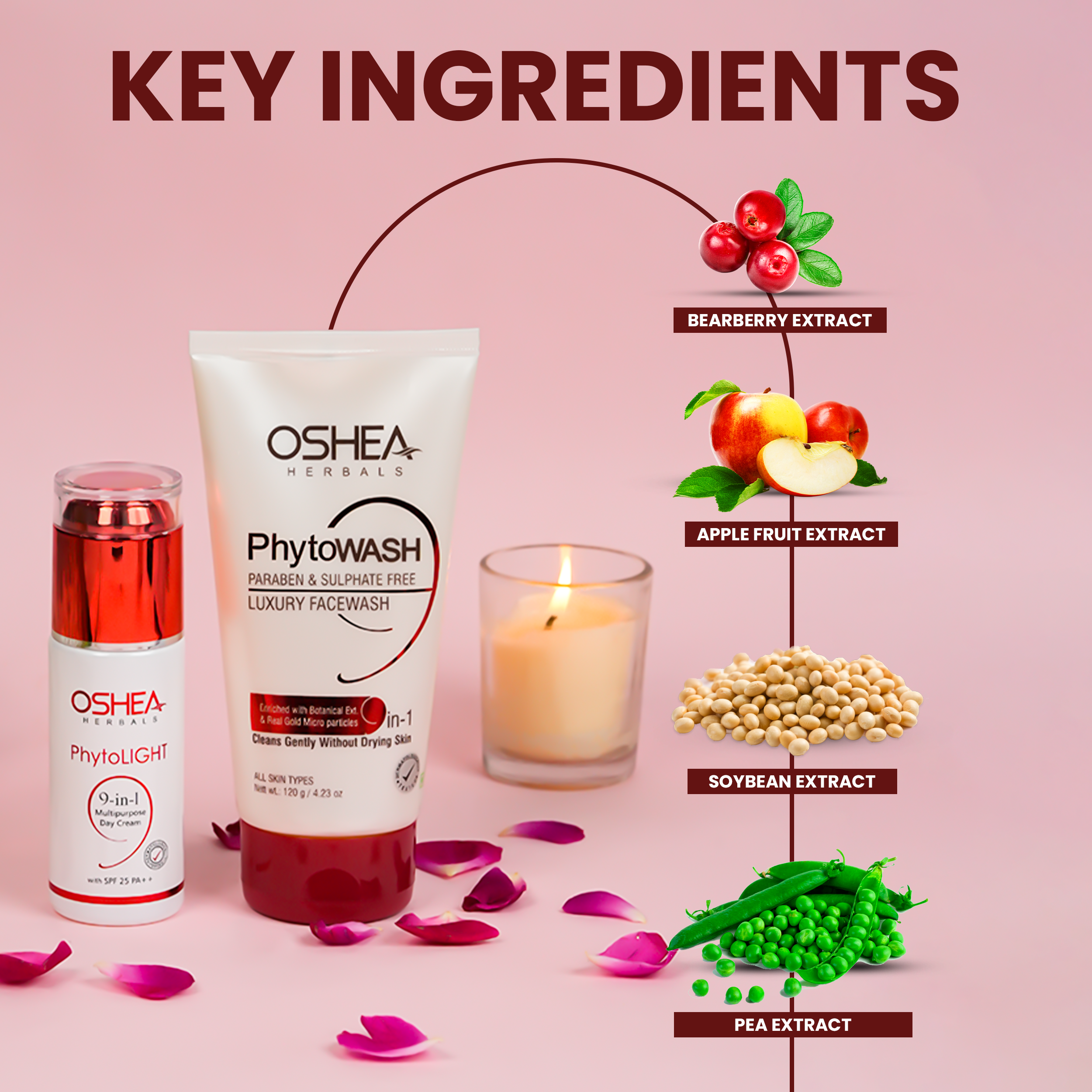 Phytolight Day Cream +Phytowash Luxury Facewash Combo