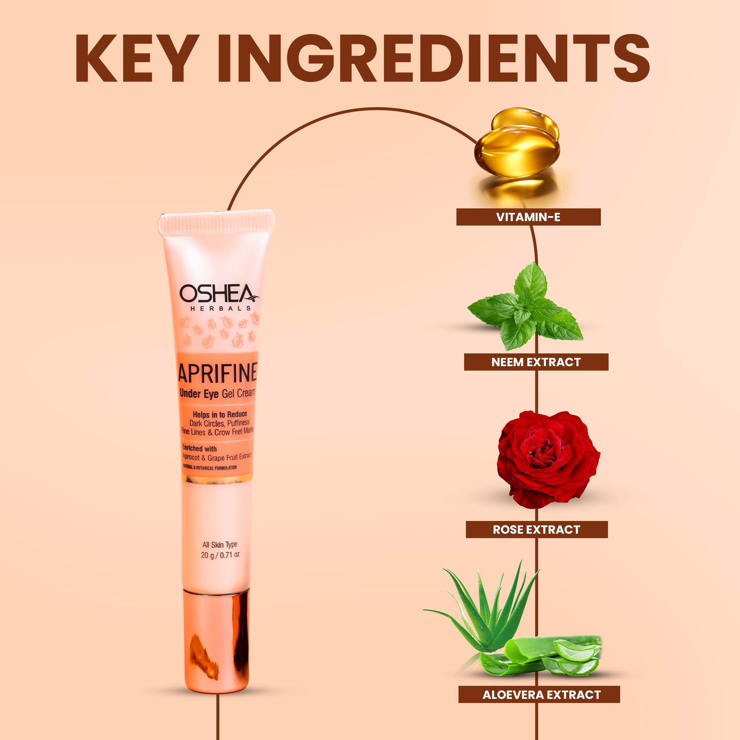 Key Ingredients Aprifine Apricot Cream for Under Eye Dark Circle Oshea Herbals