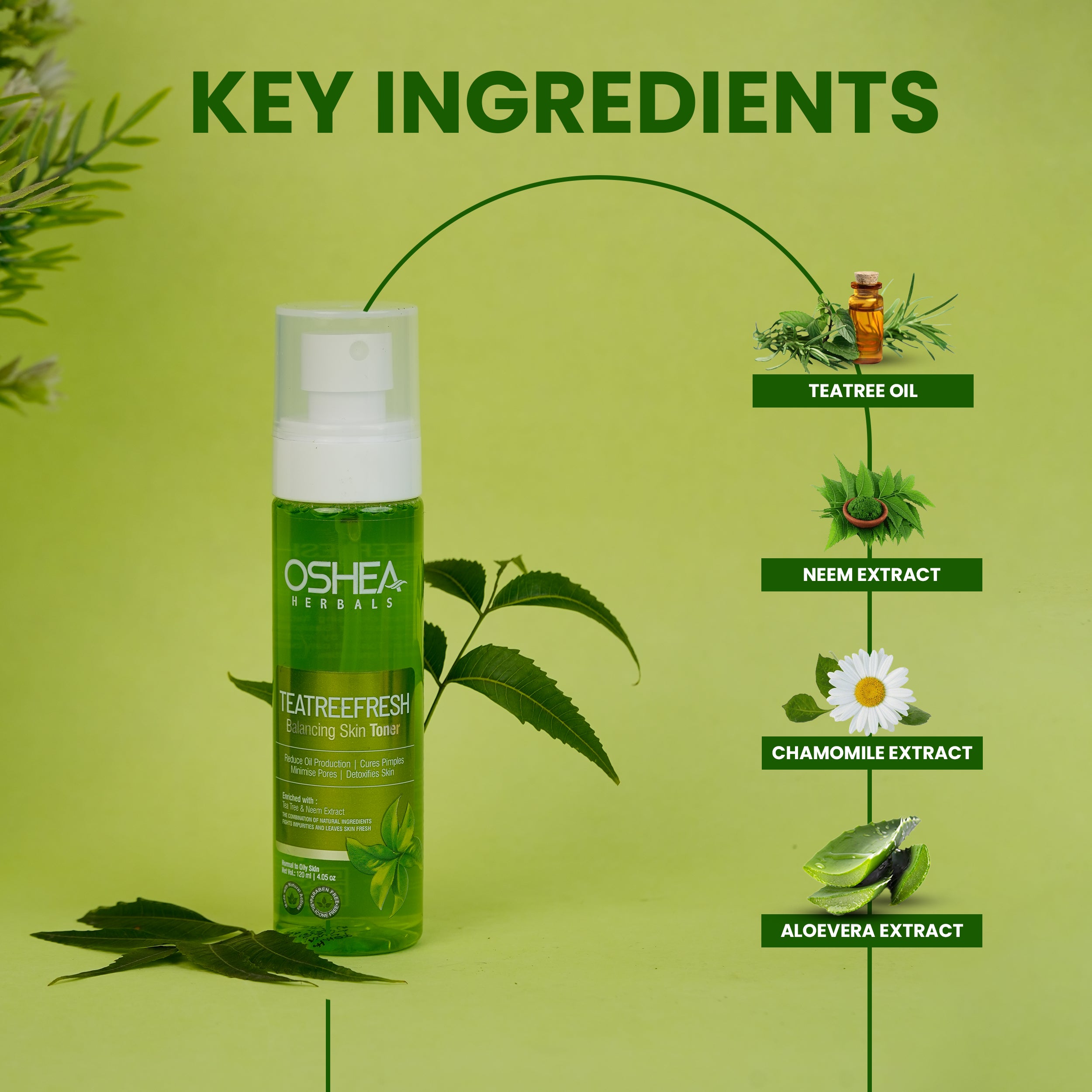 Key ingredients Teatree Fresh Balancing Skin Toner Oshea Herbals