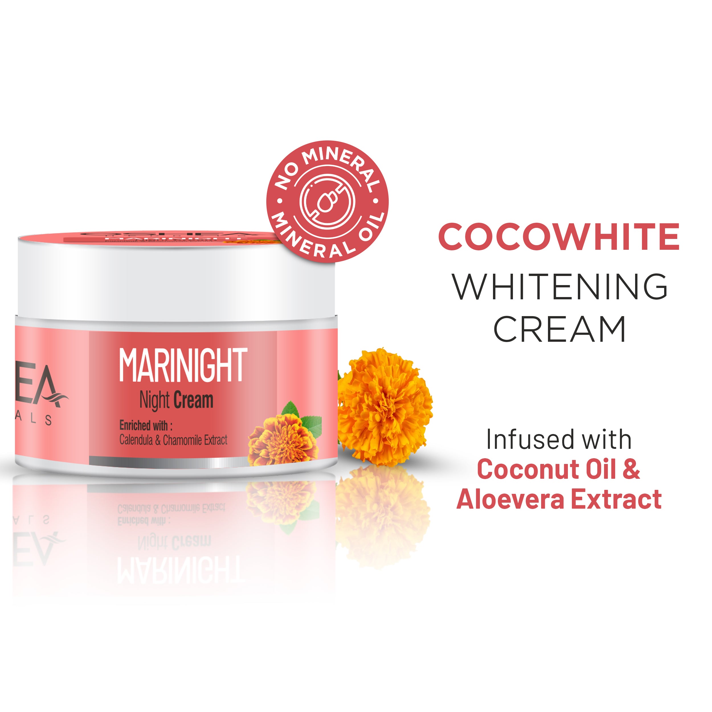 Buy Marinight Night Cream Online| For Dry Skin & Normal – Oshea