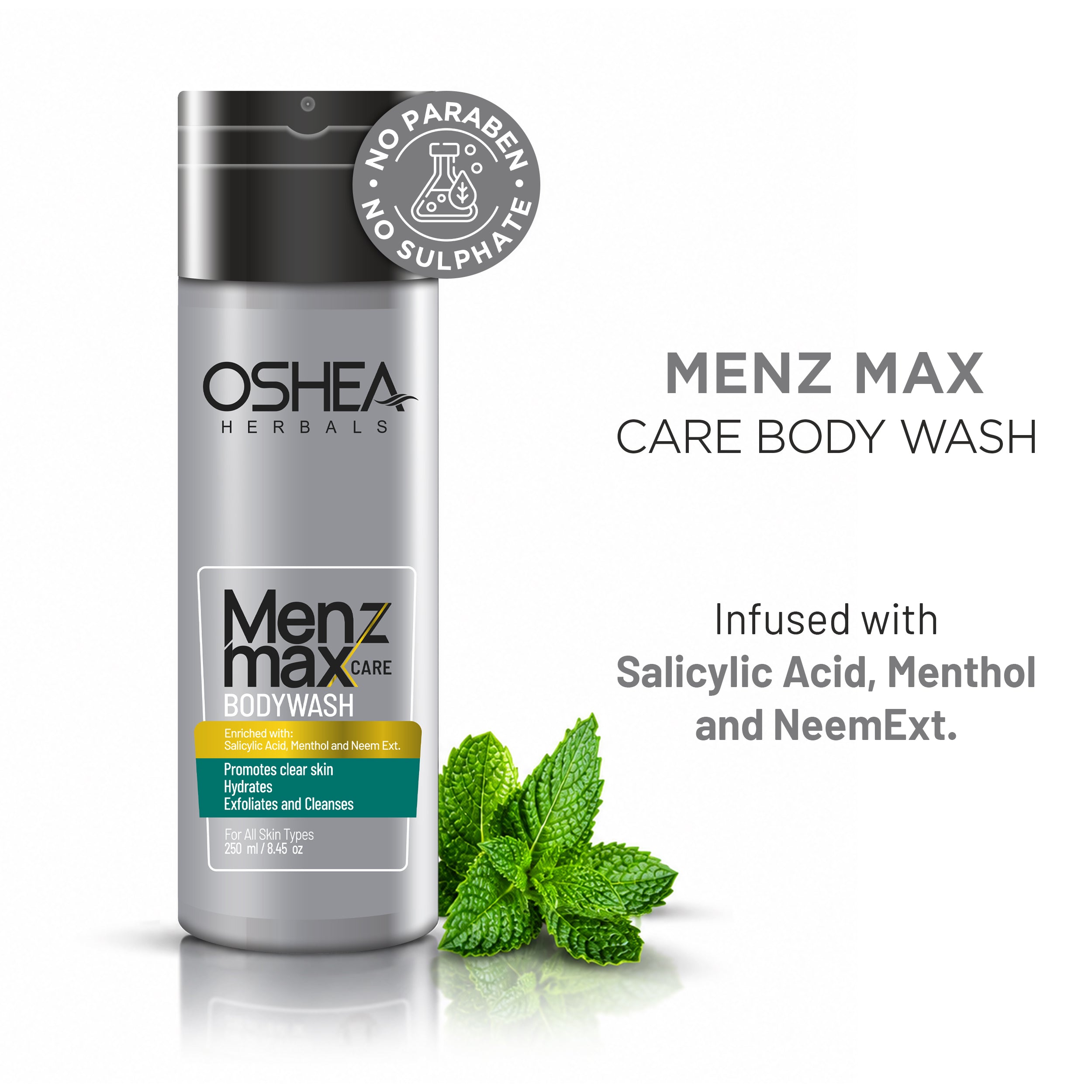 Menz Max Care Body Wash