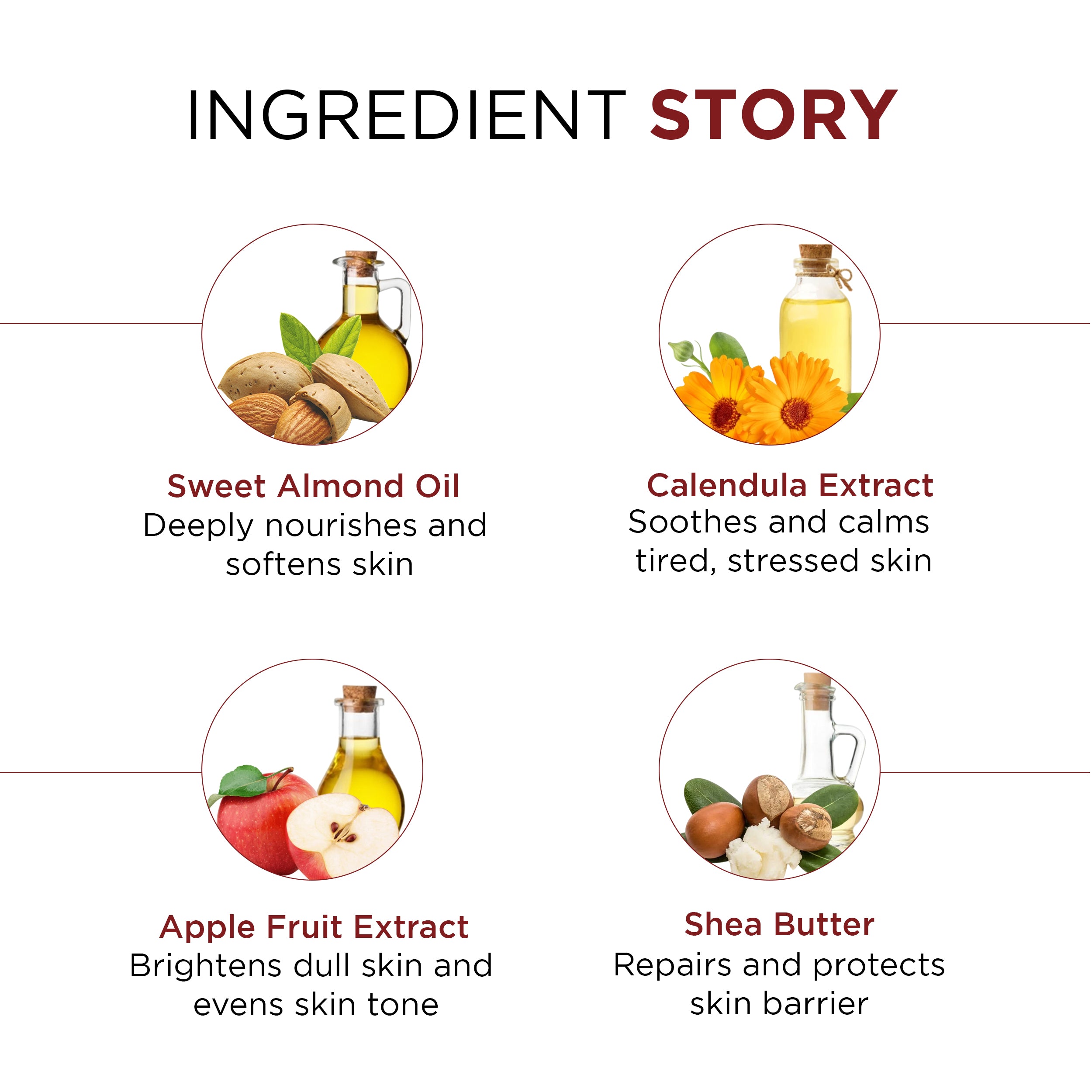 Phytonight 9-in 1 Multipurpose Night Cream