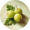 Amla