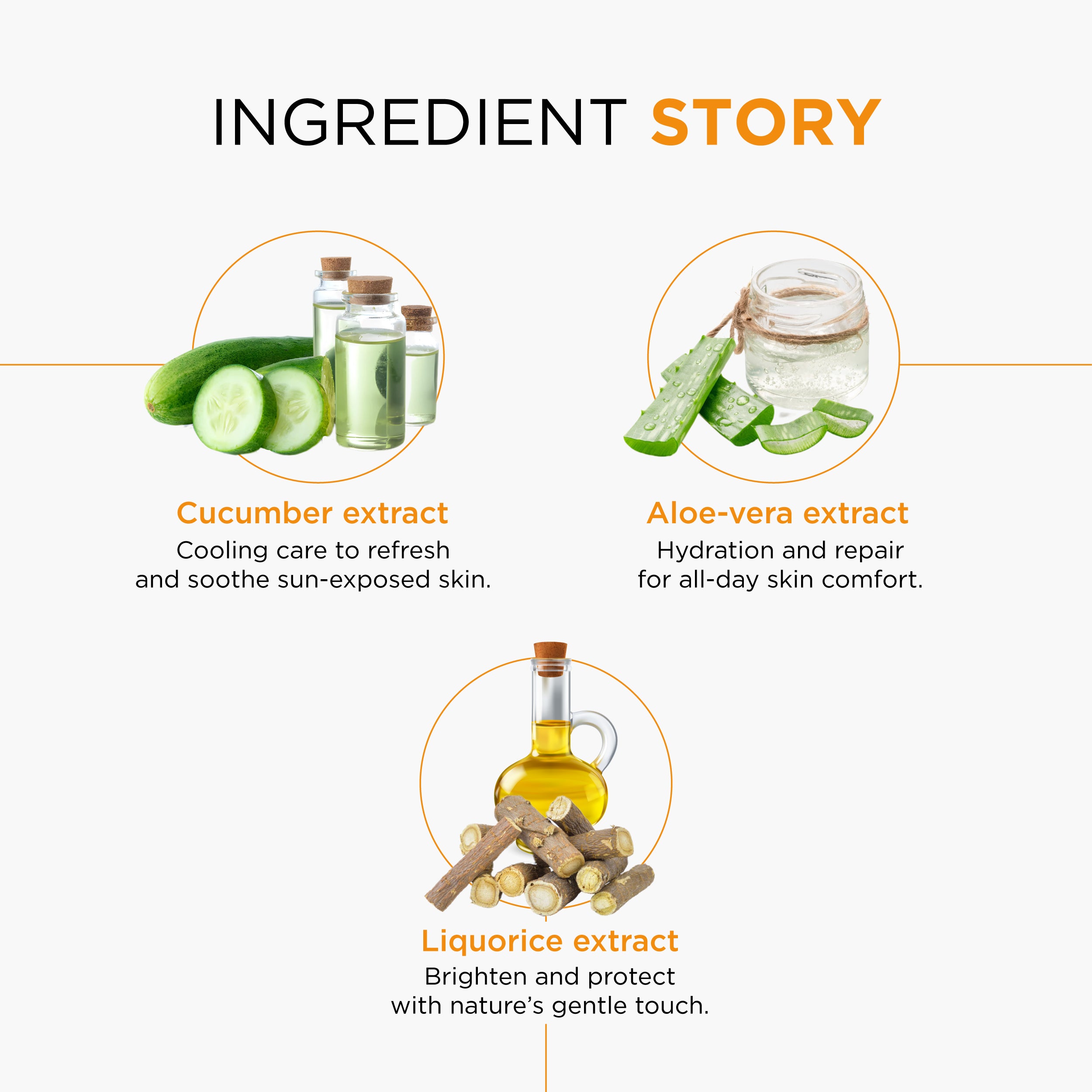 Uv Shield Mattifying  Sun Block Cream SPF 40 PA +++