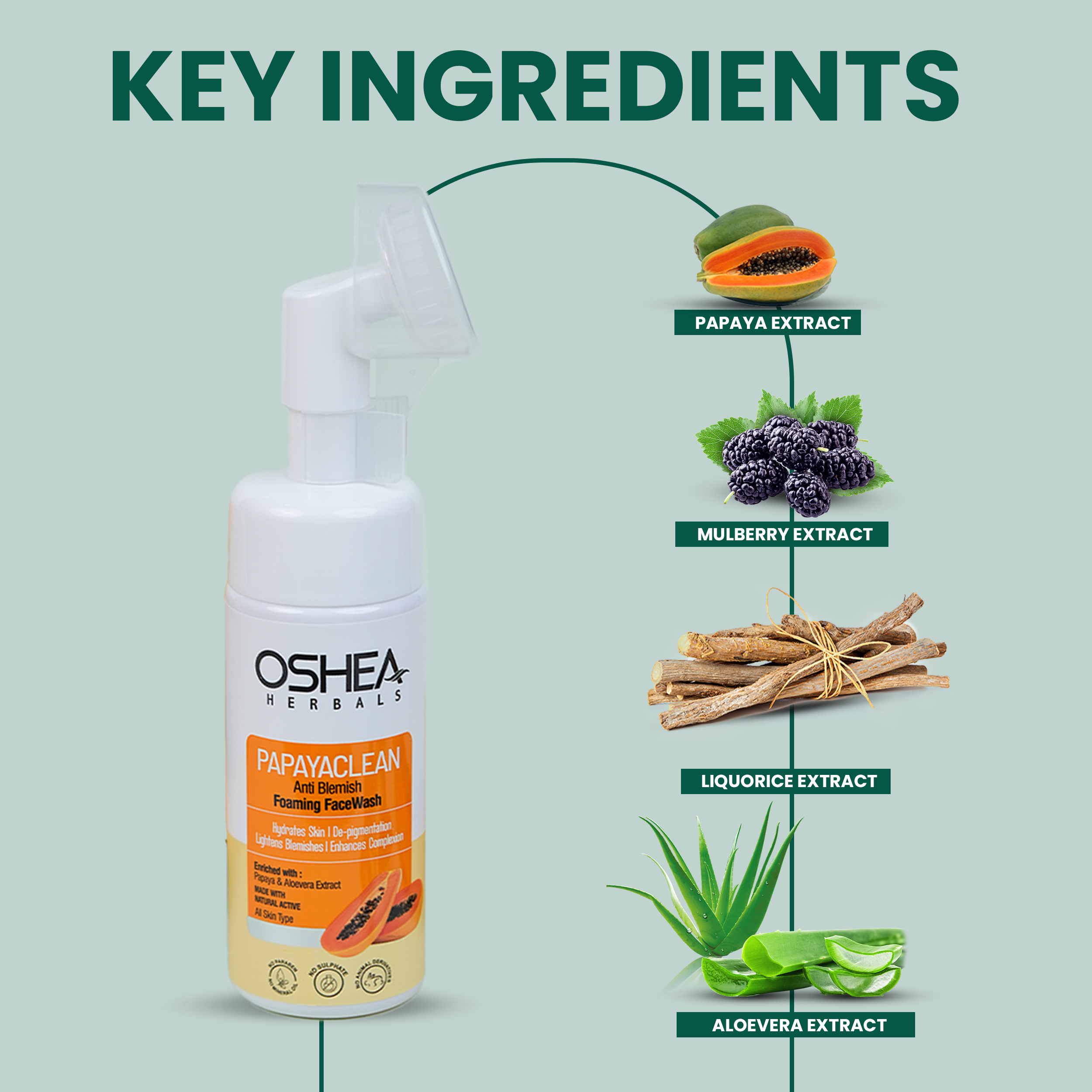 key ingredients Papayaclean Anti Blemish Foaming Face wash Oshea Herbals